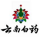 白藥董事長王明輝：大健康視野下的企業(yè)再造